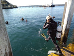 PADI Open Water Diver - Learn How to Dive: Sunday Start - Frog Dive