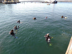 PADI Open Water Diver - Learn How to Dive: Sunday Start - Frog Dive