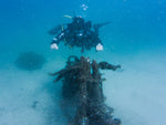 Private Guided Shore Dive