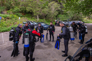 Is Scuba Diving Safe? Insights from the Experts