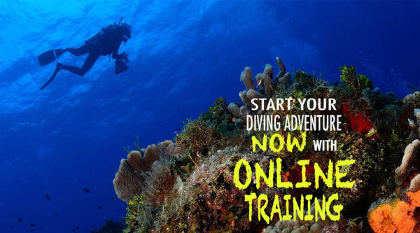 /blogs/news/scuba-diving-online-training